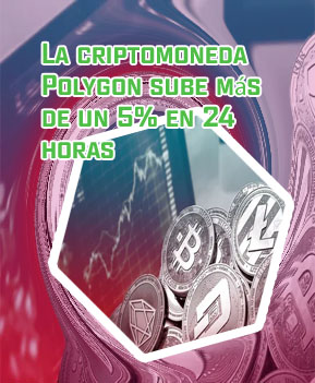 Criptomonedas precio
