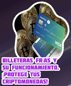 Mejores billeteras frias criptomonedas