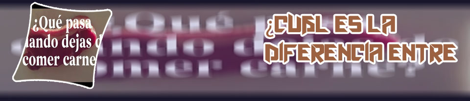 Que pasa cuando se queman criptomonedas